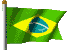 Brasilian National Flag - Brasilian Presence