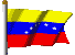 Venezuellan National Flag - Venezuellan Presence
